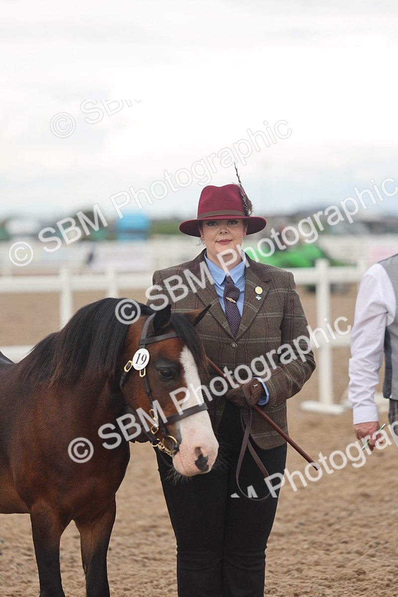 SBM_08522 - Class 29 - IH Veteran Pony