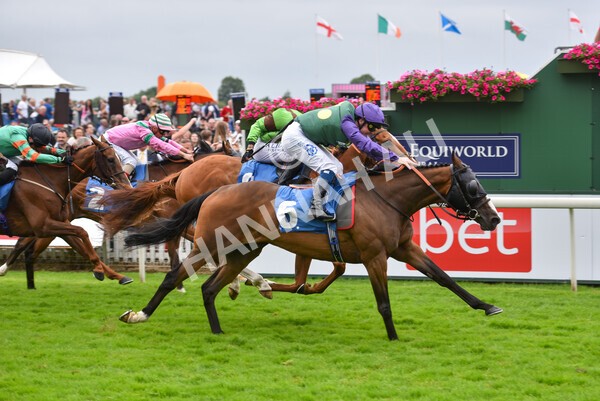 yr24072021r5-61 - Race 5 4.25pm Sky Bet Best Odds Guaranteed Stakes