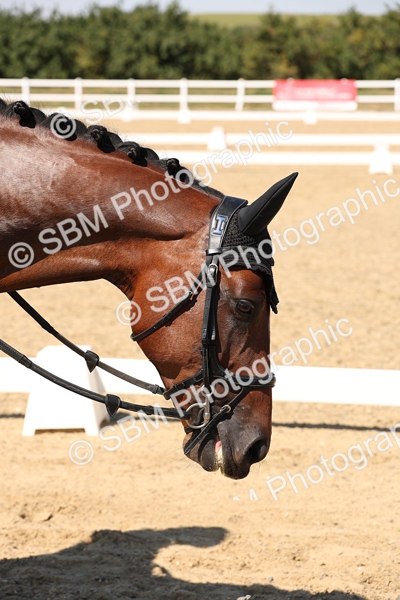 SBM_005734 - Prelim 4 - 13.34-15.39