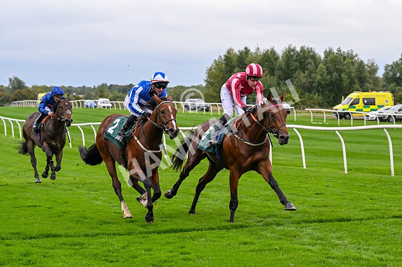 011025-Race 3-Real American-0253 - Race 3