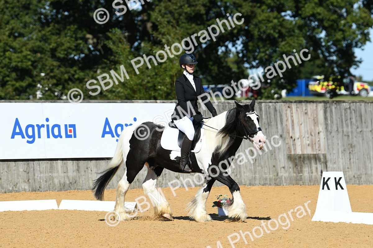 SBM_18214 - D4 - Small Tour Championship - Intro B