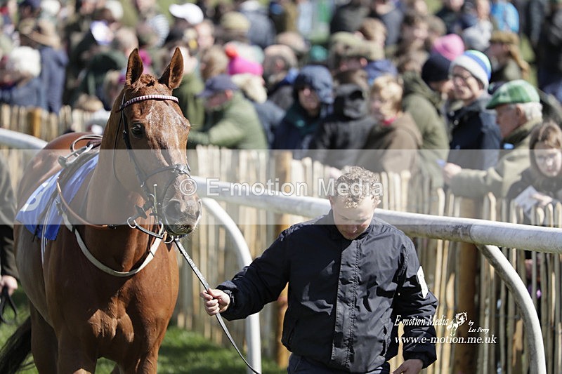 PtP 100423 474 - Old Berkshire Point-to-Point Lockinge 10/04/23