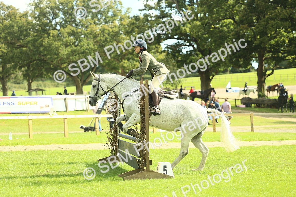 SBM_47913 - S32 - Novice & Newcomers Working Hunter