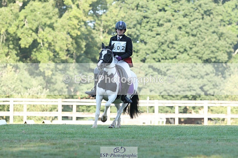 250823A-084116-25755 - Arena D