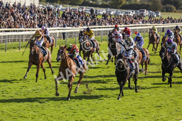 141023-Race 3-Montassib-0407 - Race 3 2.25pm Coral Sprint Trophy Handicap