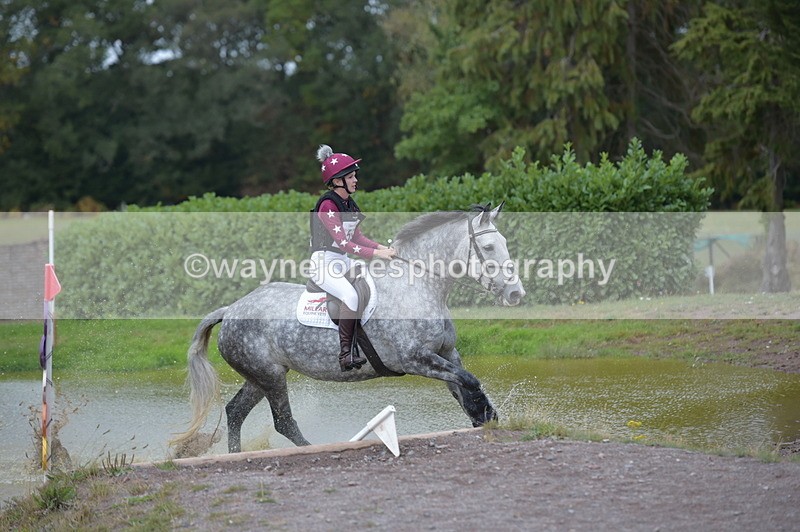 NGP_2428 - XC Time 11:37 to 11:57