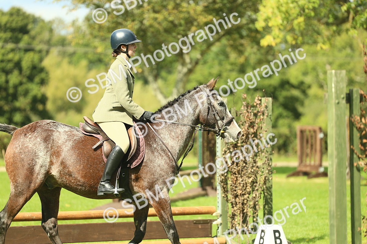SBM_42126 - S29 - Novice & Newcomers Working Hunter Pony