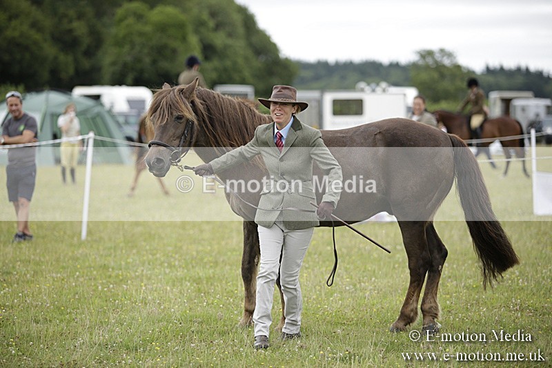 BVR160717-715 - Ring 2 BVRC Show 16/07/17