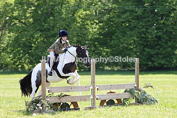 IMG_3826 - Working Hunter