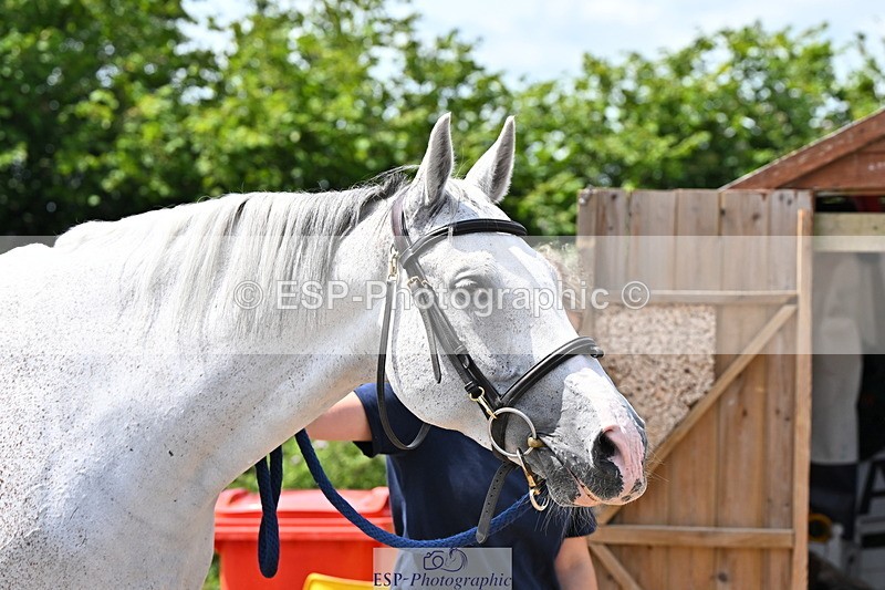 240718A-105315-01748 - Trot Up 1pm to 2pm