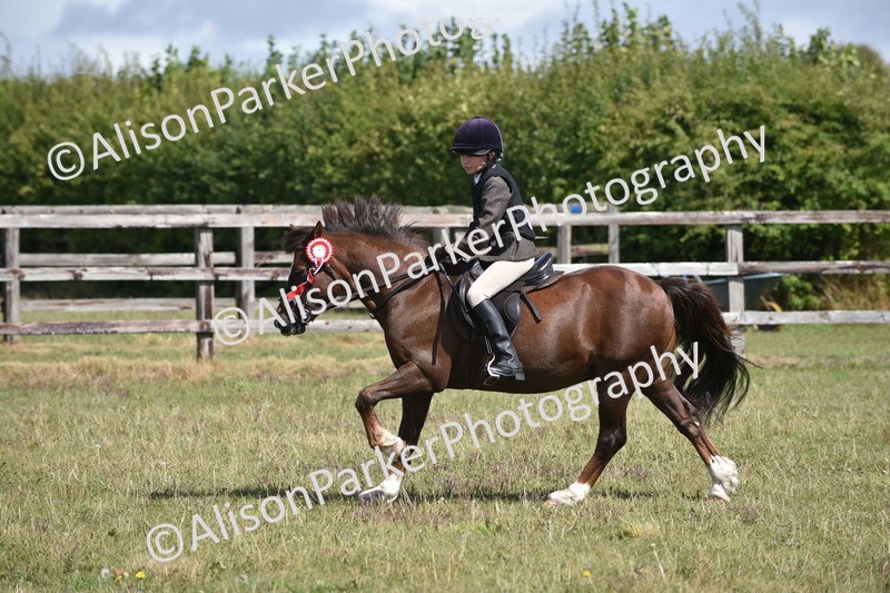 20250831-3958 - Class 11 - Working Hunter Pony 13hh and Under