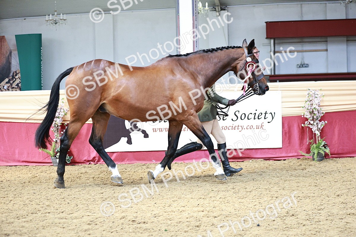 SBM_04904 - Class 7R - Regional IH Diamond