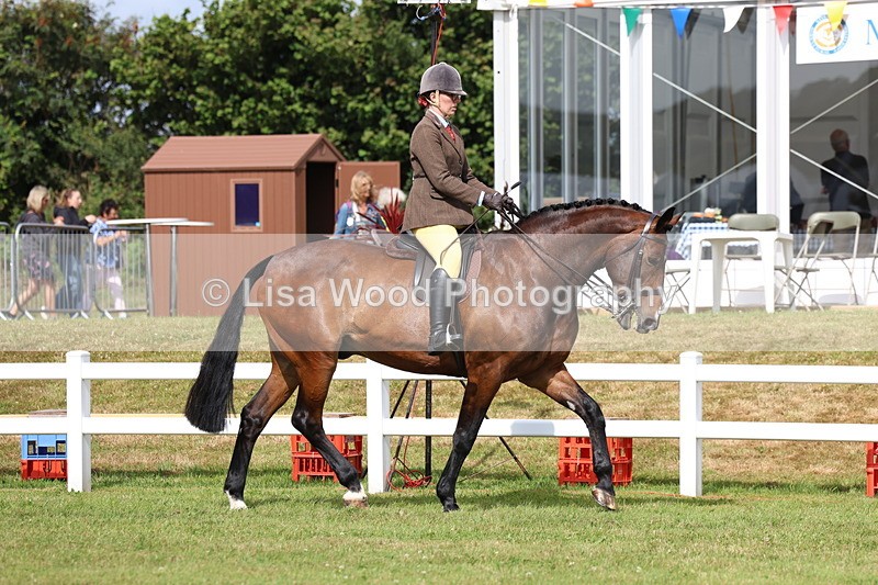 3E7A9285 - Class 4: Rising Star M/H Hunter