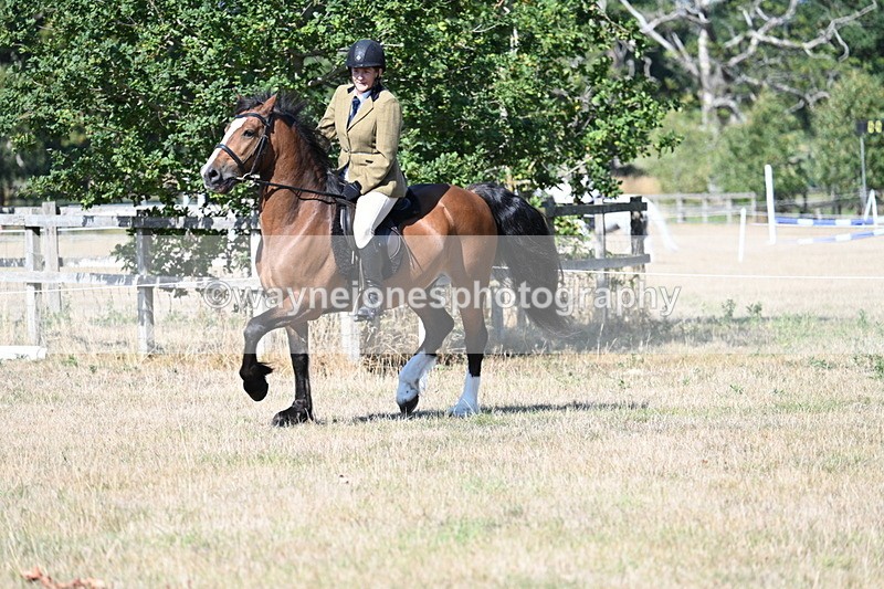 WJ7_3759 - Class 9 Mountain & Moorland Ridden