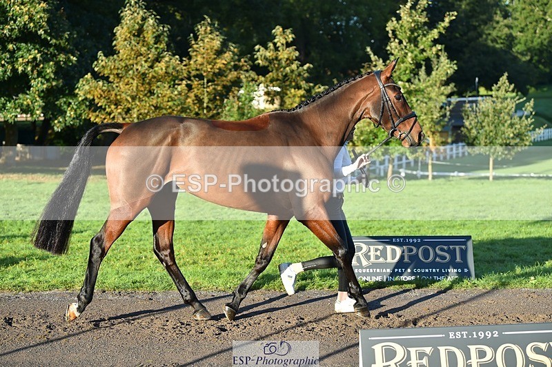 231022-092022-21712 - 665-OPPOSITION.FIDELITY-Izzi.Kirk-TrotUp+SJ