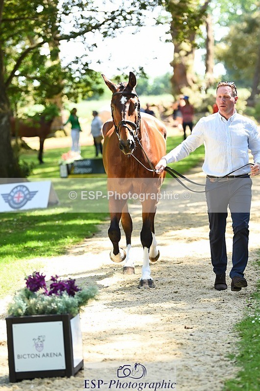 230524-150040-00015 - 375-FINLEY_DU_LOIR-Oliver_Townend-WEDTrotUp+DR