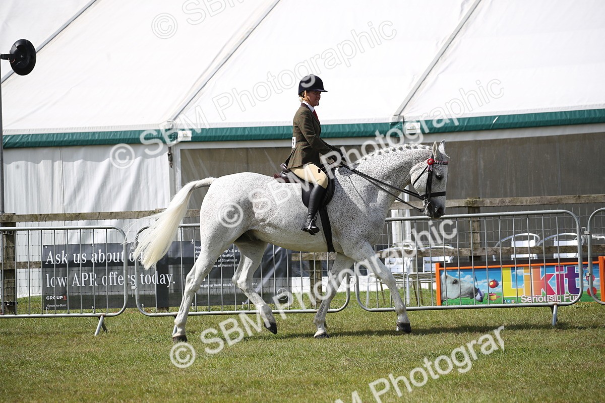 SBM_13180 - Class 95-96 - LIHS BSHA Rising Star Hack Riding Horse