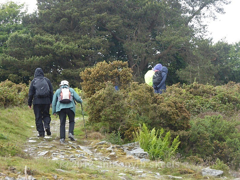037  Almost on the ridge top - York Minster Walkers Collection 2025