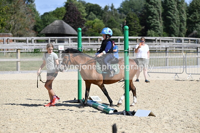 WJ5_5026 - Poles on the Floor