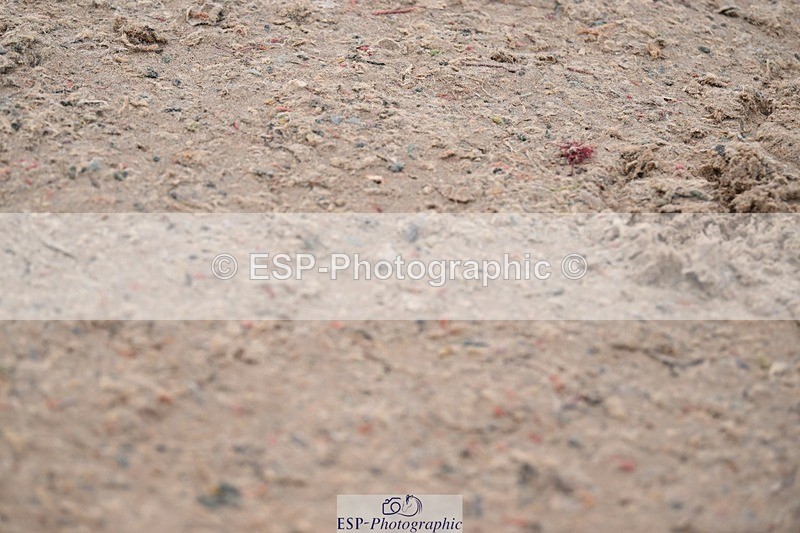 250424-091150-03475 - Cls 13 - 1 Star Bronze Tour