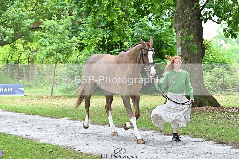 250521A-145103-00280 - A-057-Tabitha.Moore-BILLY.HOODOOS