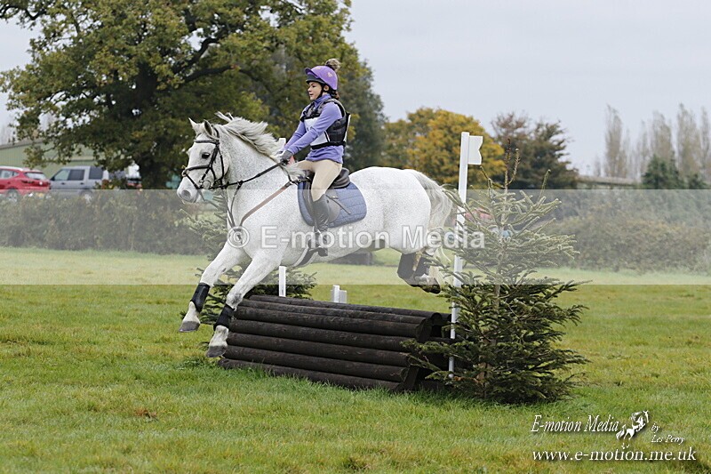 WWHT 181020 WWHT 181020 419 - WWEC Open Novice (0.80m) 18/10/20