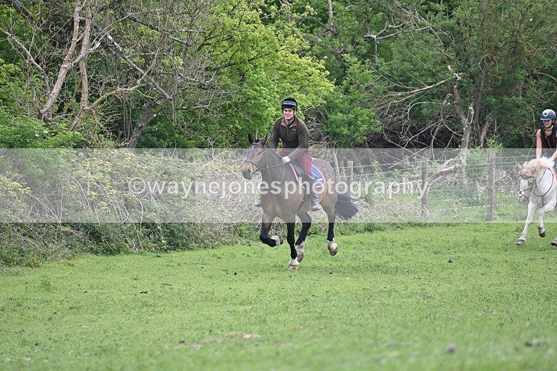 WJ6_3273 - A camera
