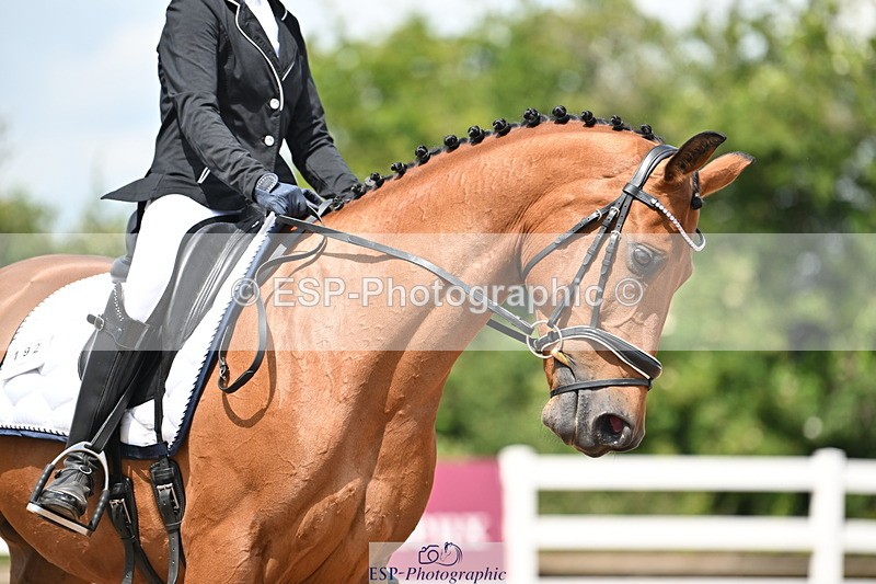 240621A-120256-02026 - Cls 7 BD Elementary 45