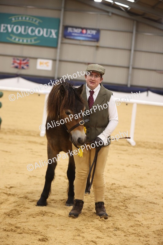20260913-1077 - Class 109 - Bred On Exmoor In Hand