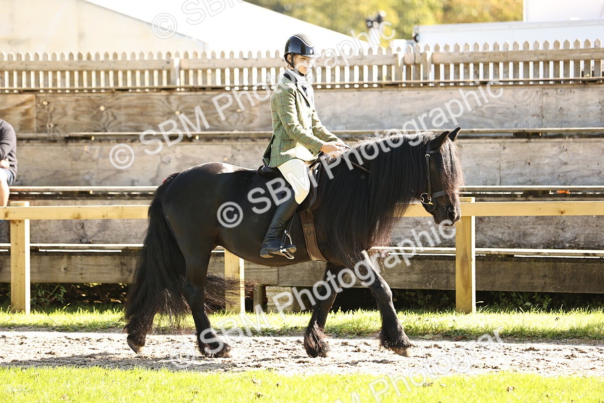 SBM_19066 - S3 - TSR Ridden Pony Showing