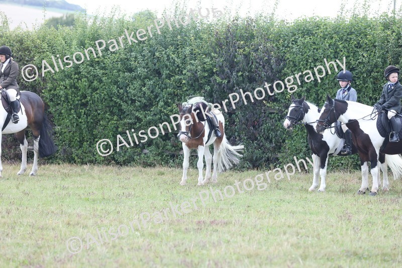 20250831-4326 - Class 20 - Ridden Coloured