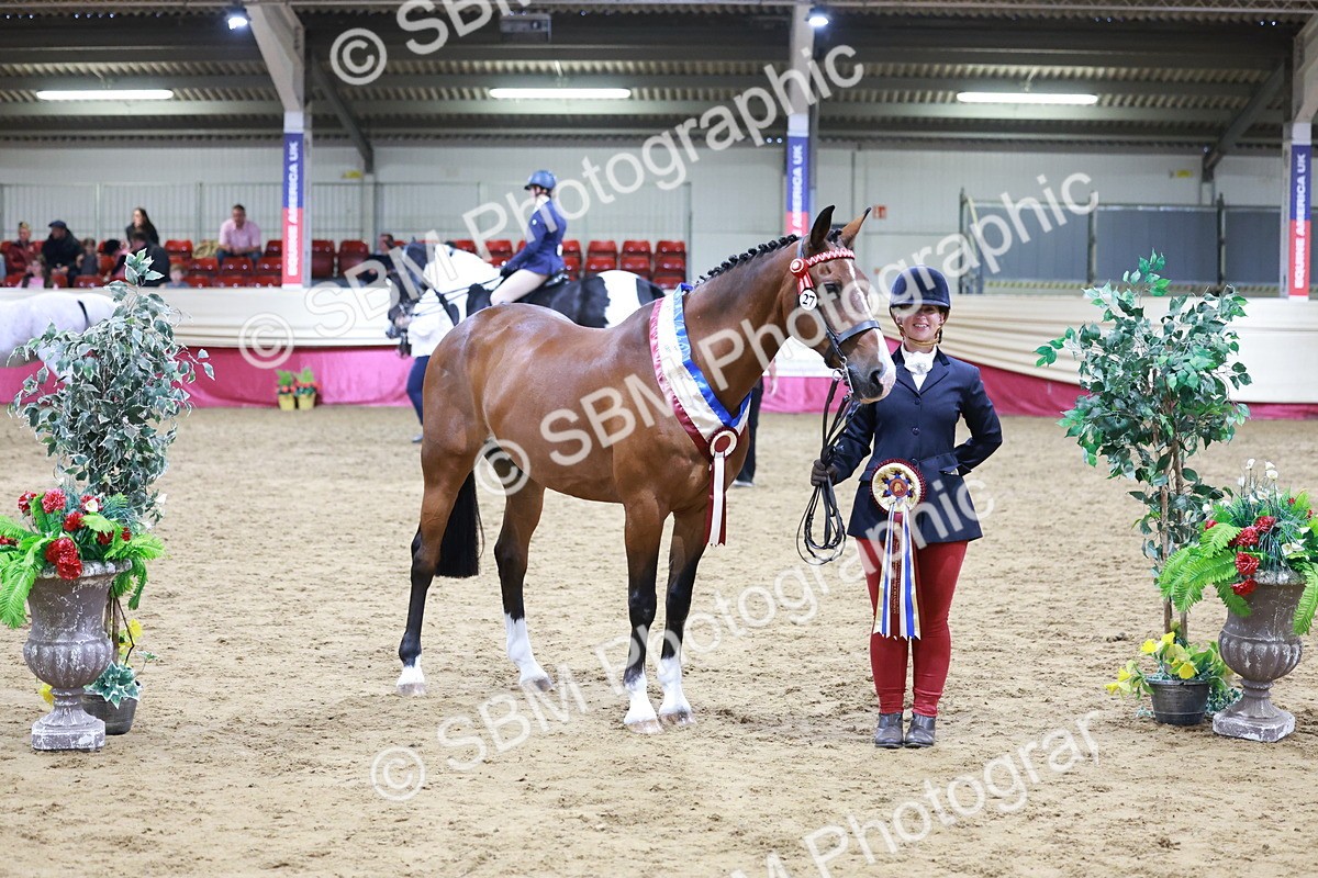 SBM_20150 - Class C - Novalty Champ