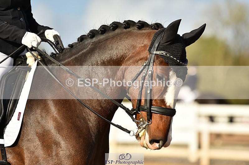 231104A-135800-01976 - Cls 10 Medium 61