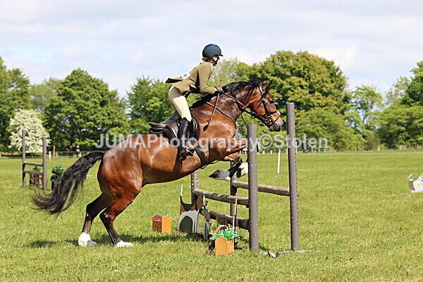IMG_4213 - Working Hunter