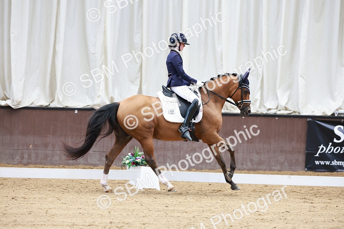 SBM_017278 - Class15 - FEI Pony