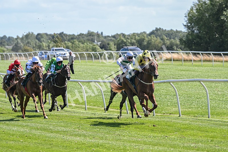 050825-Race 1-Reverberate-5019 - Race 1