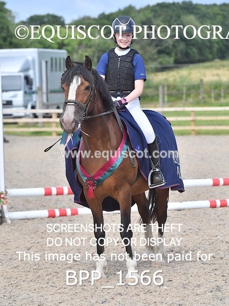 BPP_1566 - DERBY CLASS 3 - 40CM