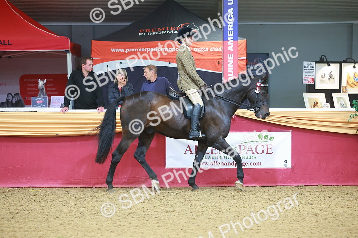SBM_09624 - Class 102 - HOYS Veteran Qualifier - Ridden Veteran