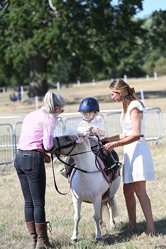 WJ7_1358 - Class 41 Prettiest Mare