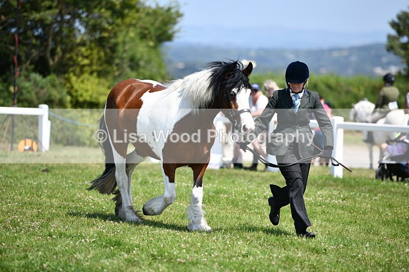DSC_7656 - Class 64: Coloured Pony 4yrs & over
