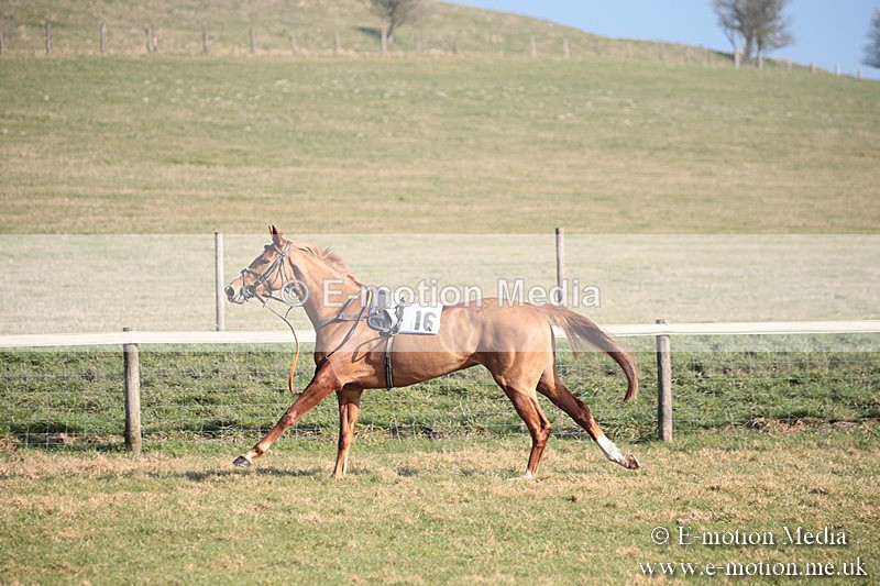 PtP 230219 169 - Vine & Craven Point-To-Point - Barbury 23/02/19