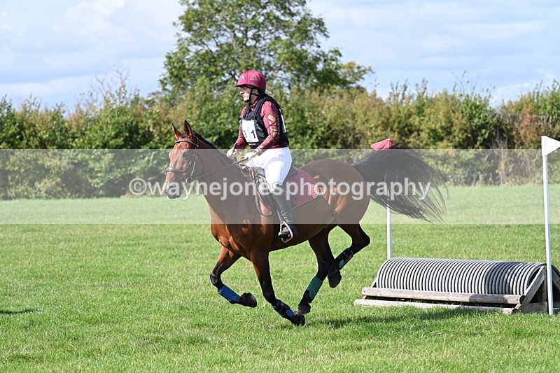 WJ7_9694 - Time 12:12 to 12:40