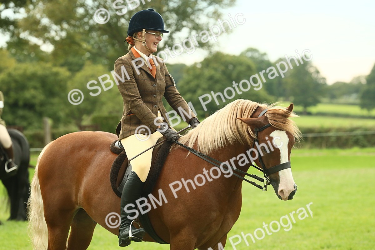 SBM_71954 - S60 - Mountain & Moorland Ridden Large Breeds