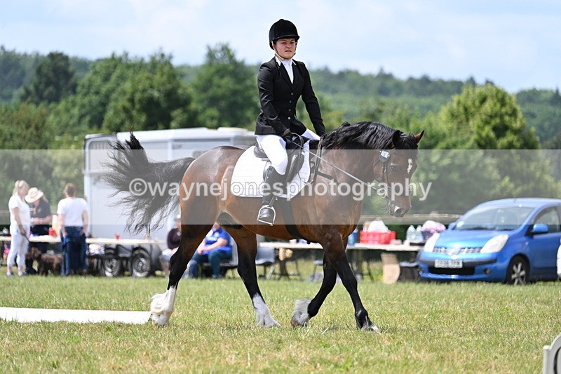 WJ7_5585 - Time 11:52 to 12:10