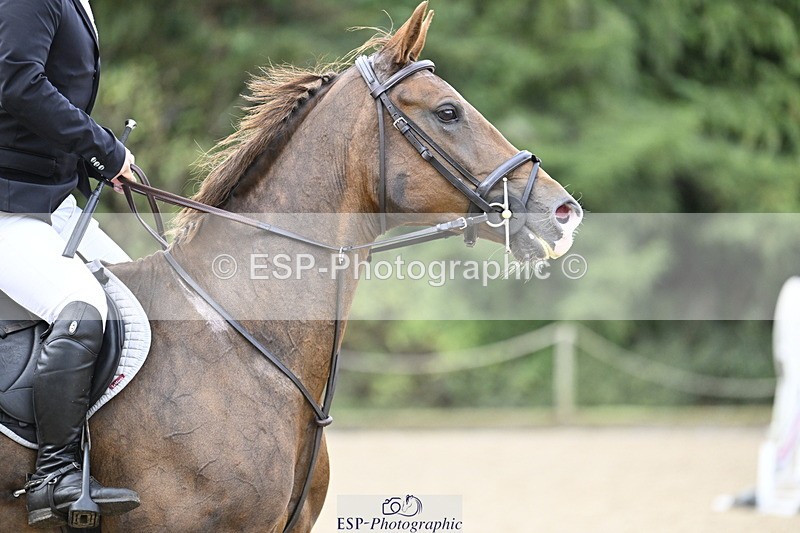 250830A-083451-04533 - Cls 20 85cm Amateur Quali