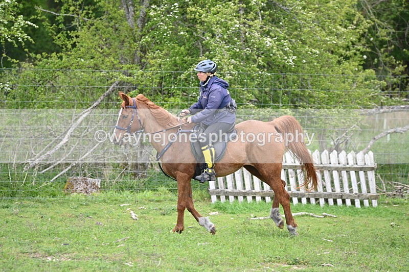 WJ6_3225 - A camera