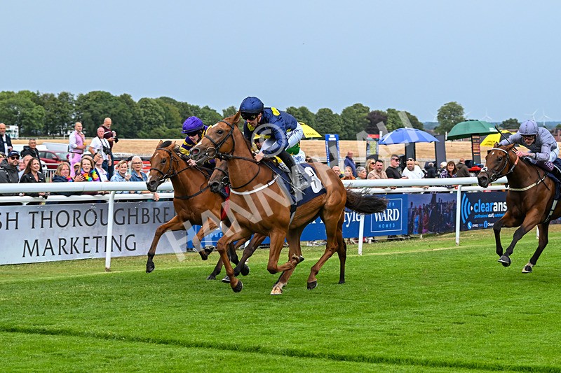 040725-Race 1-Golden Palace-3948 - Race 1