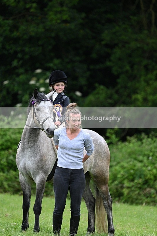 WJ7_4273 - Class 14A Handsome Gelding