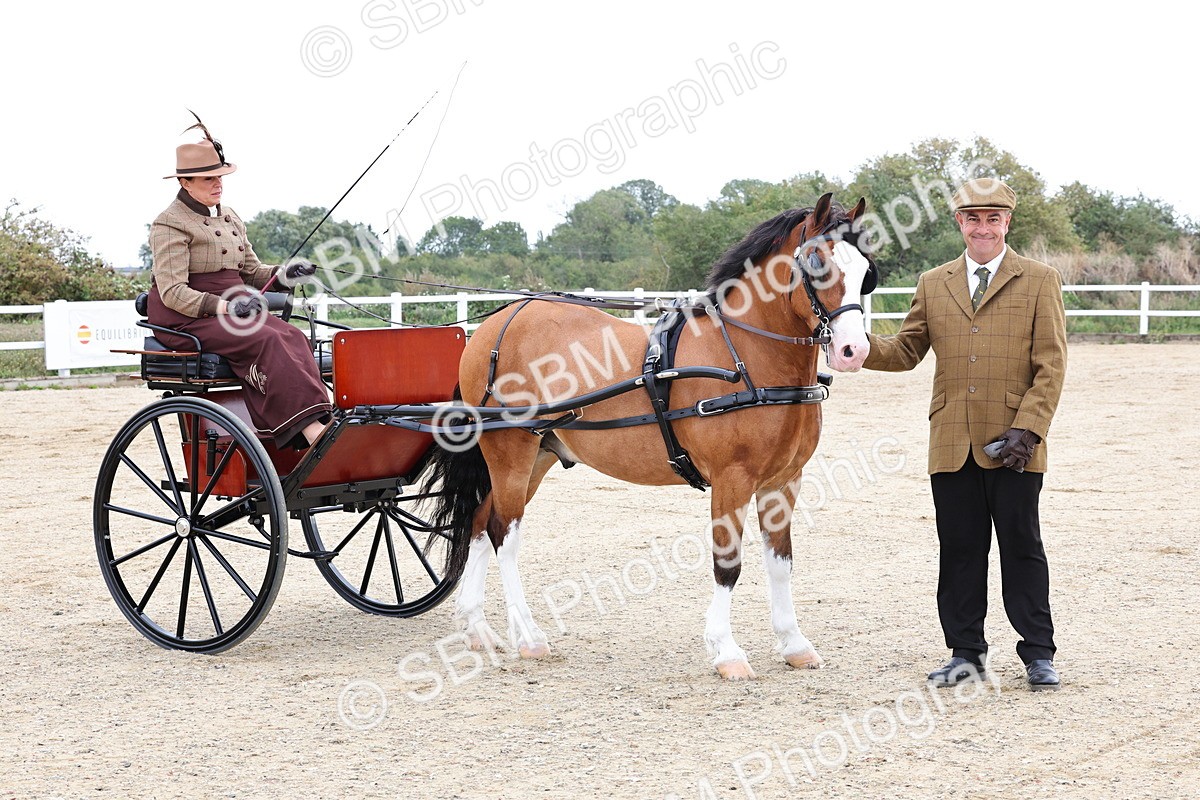SBM_000295 - Class 2 - Exercise Vehicle 13.2hh & Under