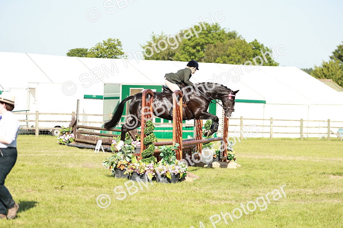 SBM_19189 - Class 115-116 - LIHS BSHA Rising Star Working Hunter & Show Horse